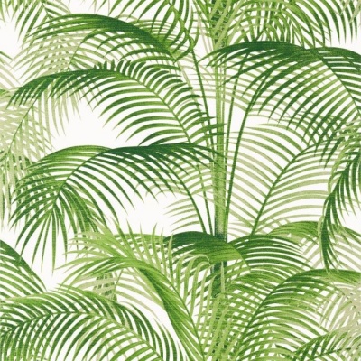 Thibaut Delray Wallpaper in Green